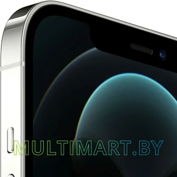 Смартфон Apple iPhone 12 Pro Max 256GB (серебристый) картинка 2